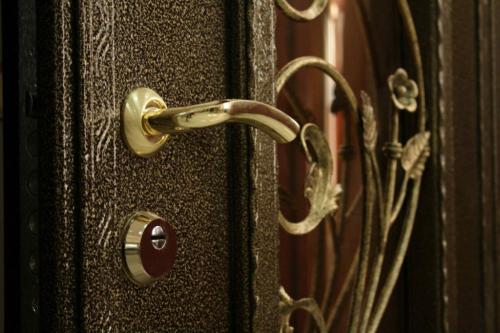 Входные двери в дом. Виды входных дверей