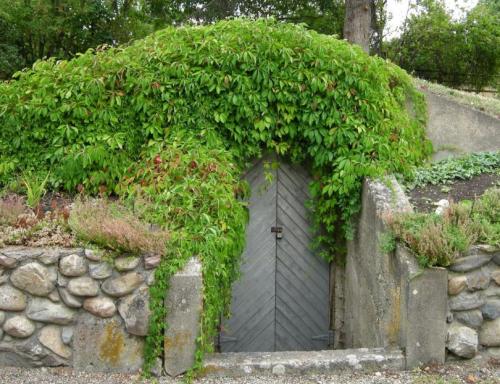 Навес над погребом. Погреб на даче своими руками: типы сооружения, особенности, выбор места на участке. Оптимальная последовательность строительства своими руками