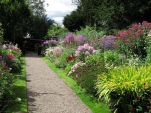 Многолетники для миксбордера. Планировка смешанного бордюра 08