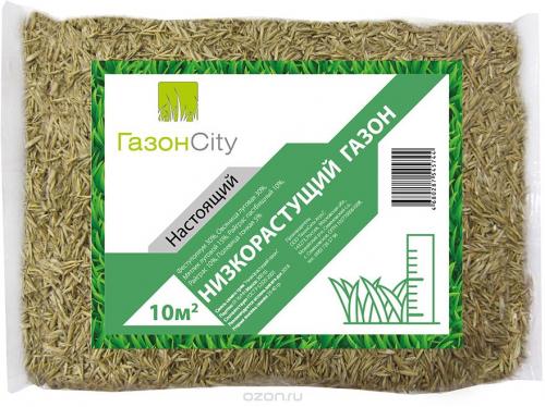 Газон перед домом, как вырастить. Газонная трава: выбор и расчет семян