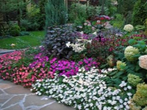 Многолетники для миксбордера. Планировка смешанного бордюра 03