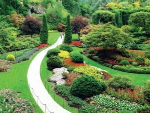 Многолетники для миксбордера. Планировка смешанного бордюра 05