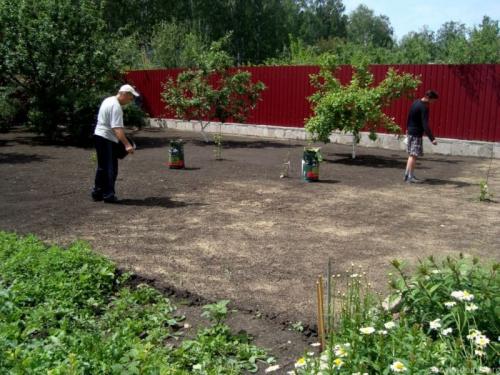 Газон перед домом дизайн. Красивый газон: фото идеи безупречного оформления газона своими руками