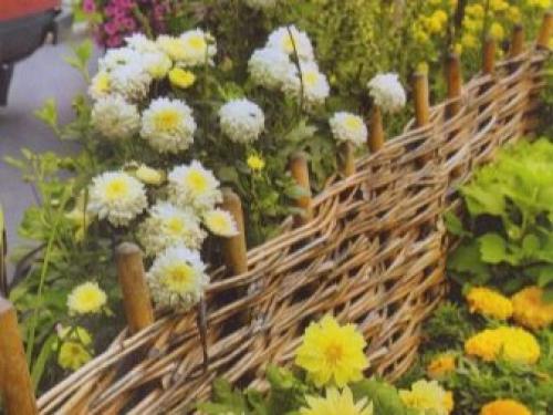 Многолетники для миксбордера. Планировка смешанного бордюра 10