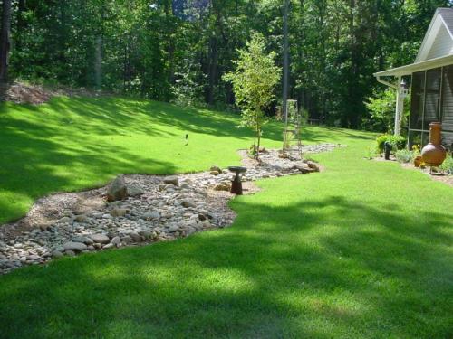 Газон перед домом с цветами. Нужно ли ухаживать за газоном?