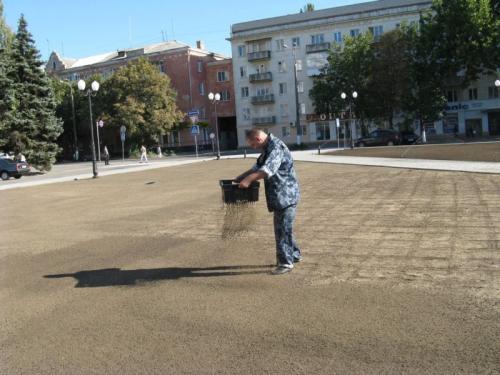 Газон перед домом дизайн. Красивый газон: фото идеи безупречного оформления газона своими руками