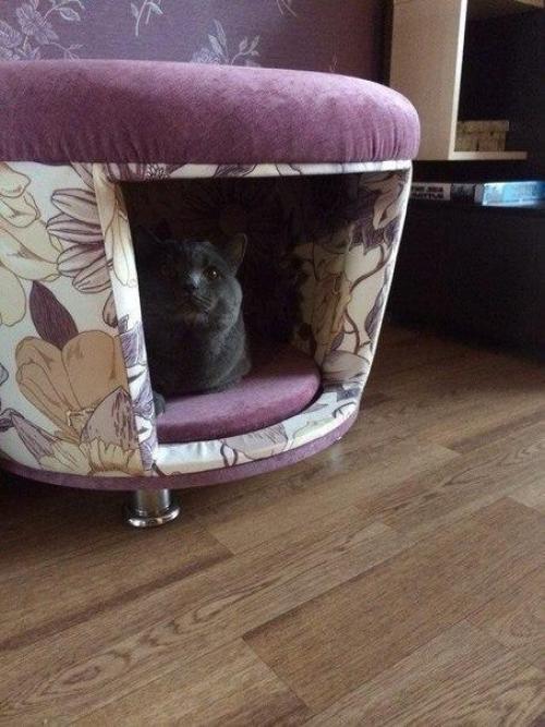 Домик для любимца 01