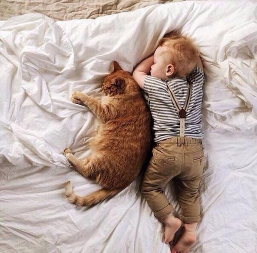 Друзья с пеленок 01