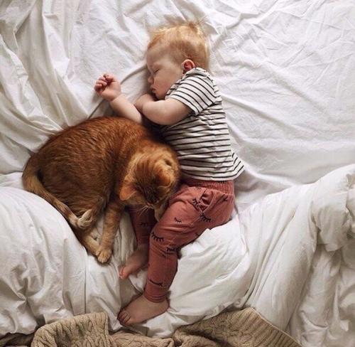 Друзья с пеленок 03