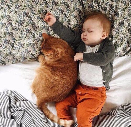 Друзья с пеленок 04