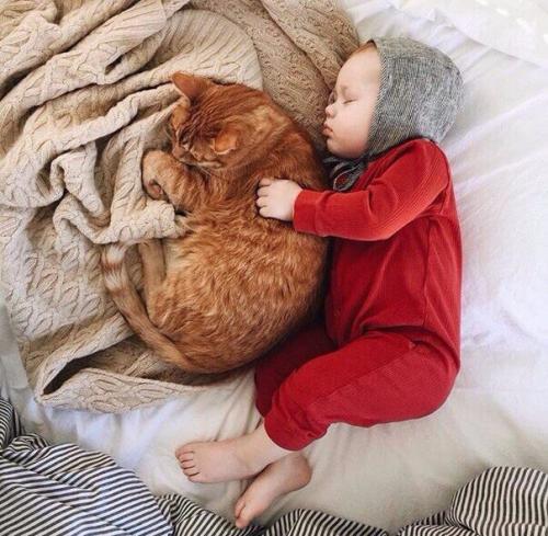 Друзья с пеленок 02