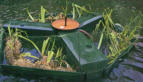 Как очистить деревенский пруд. Как очистить водоем: подробное описание, как своими руками очистить быстро и просто водоем (130 фото + видео)