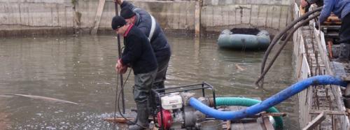 Как очистить деревенский пруд. Как очистить водоем: подробное описание, как своими руками очистить быстро и просто водоем (130 фото + видео)