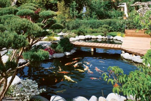 Как почистить искусственный пруд. Как очистить искусственный водоем своими руками