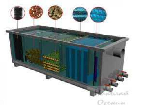Как сделать воду в пруду прозрачной. Как очистить воду в пруду