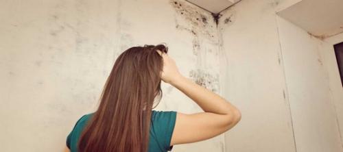 Плесень в комнате чем опасна. Узнаем паразита по цвету