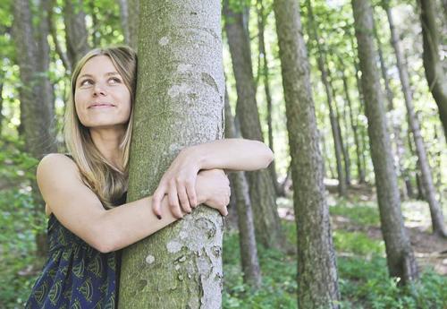 Можно ли сажать сосну возле дома. Приметы и суеверия про сосну