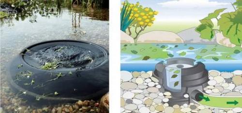 Как почистить искусственный пруд. Как очистить искусственный водоем своими руками