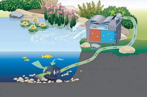 Как почистить искусственный пруд. Как очистить искусственный водоем своими руками