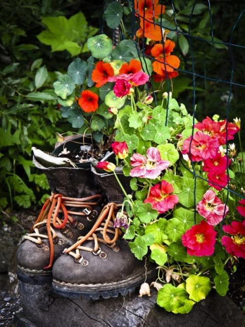 Кашпо из дерева своими руками. Кашпо для сада — лучшие варианты и оригинальные идеи для украшения цветов (70 фото)
