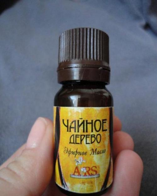 Причина появления плесени в ванной комнате. Причины, способствующие прорастанию спор черной плесени: 13 Причина появления плесени в ванной комнате. Причины, способствующие прорастанию спор черной плесени: 13