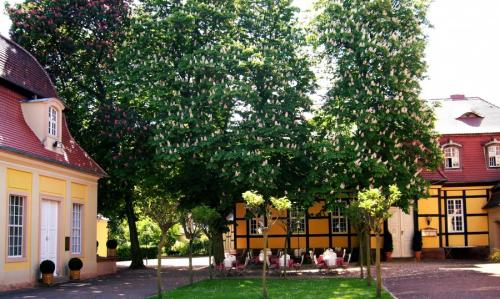 Какое декоративное дерево посадить возле дома. Деревья возле дома — виды которые можно и нельзя сажать. 100 фото лучших вариантов для посадки