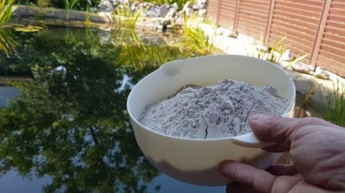 Как очистить деревенский пруд. Как очистить водоем: подробное описание, как своими руками очистить быстро и просто водоем (130 фото + видео)