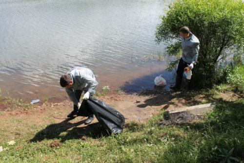 Как очистить деревенский пруд. Как очистить водоем: подробное описание, как своими руками очистить быстро и просто водоем (130 фото + видео)