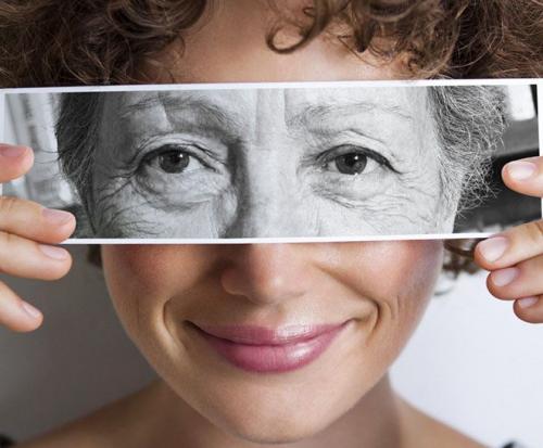 Можно ли сажать сосну возле дома. Приметы и суеверия про сосну