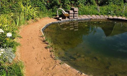 Как очистить деревенский пруд. Как очистить водоем: подробное описание, как своими руками очистить быстро и просто водоем (130 фото + видео)