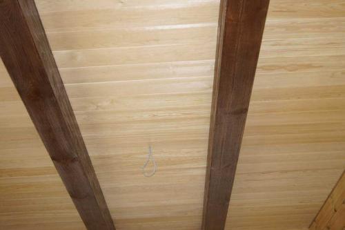 Балки в интерьере гостиной. Выбор цвета