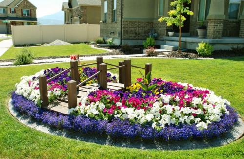 Клумбы из многолетних растений. Клумбы из многолетников: правила и особенности выращивания для новичков (85 фото)