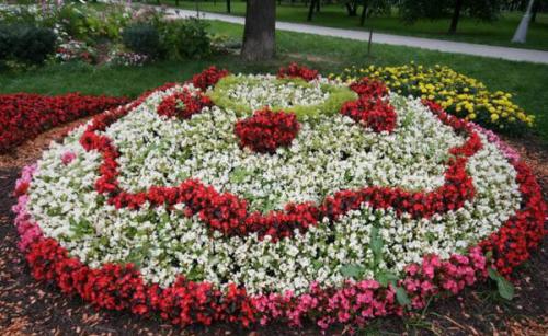 Клумбы из многолетних цветов. Однолетники или многолетники — критерии выбора
