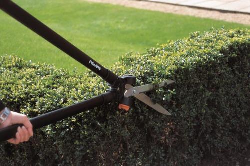 Стрижка кустов кусторезом. Стрижка кустарников: декоративная, фигурная, топиарная, живых изгородей, хвойников.