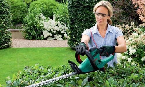 Стрижка кустов кусторезом. Стрижка кустарников: декоративная, фигурная, топиарная, живых изгородей, хвойников.