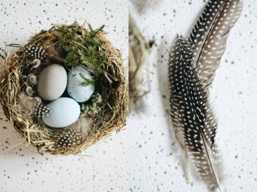 Как сделать гнездо для поделки. Декоративное гнездо своими руками
