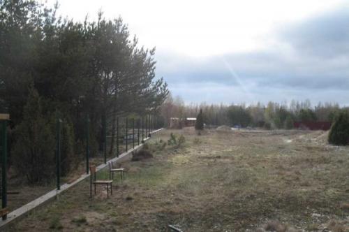 Забор из досок вертикальный. Фотоотчет 1: обычный забор из досок (штакетник)