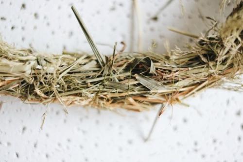 Как сделать гнездо для поделки. Декоративное гнездо своими руками