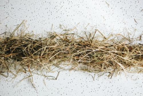 Как сделать гнездо для поделки. Декоративное гнездо своими руками