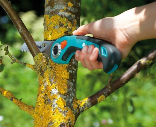 Стрижка кустов кусторезом. Стрижка кустарников: декоративная, фигурная, топиарная, живых изгородей, хвойников.