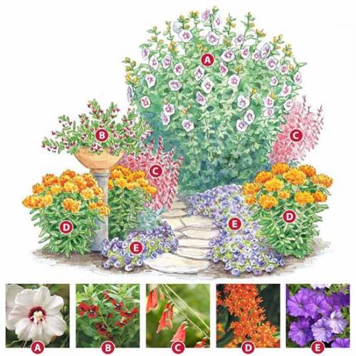 Готовые схемы и проекты клумб. Как сделать красивую клумбу: 15 схем для цветника