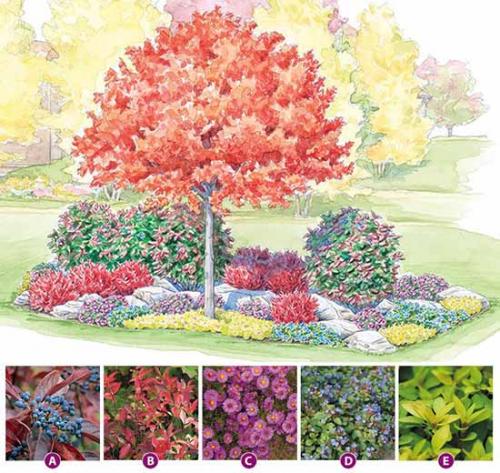 Готовые схемы и проекты клумб. Как сделать красивую клумбу: 15 схем для цветника