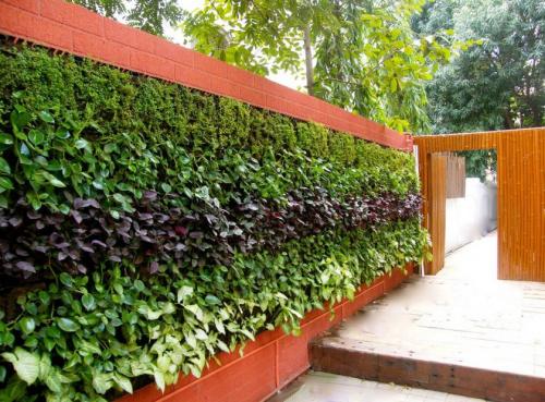 Дизайн участка небольшого перед домом. Идеи и варианты ландшафтного дизайна на маленьком участке перед домом