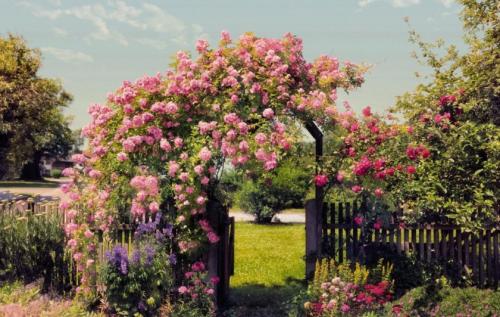 Дизайн участка небольшого перед домом. Идеи и варианты ландшафтного дизайна на маленьком участке перед домом