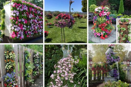 Дизайн участка небольшого перед домом. Идеи и варианты ландшафтного дизайна на маленьком участке перед домом