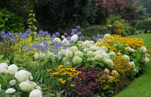 Как организовать клумбу перед домом. Варианты клумбы: как правильно декорировать