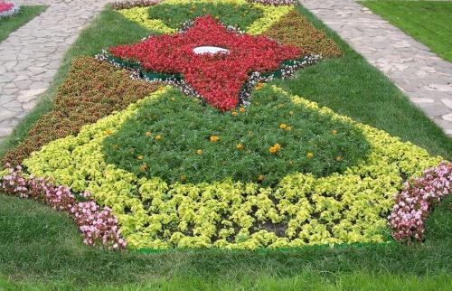 Как организовать клумбу перед домом. Варианты клумбы: как правильно декорировать