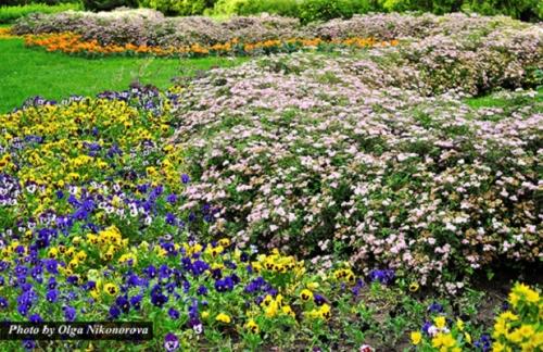 Как организовать клумбу. Создание клумбы своими руками 33