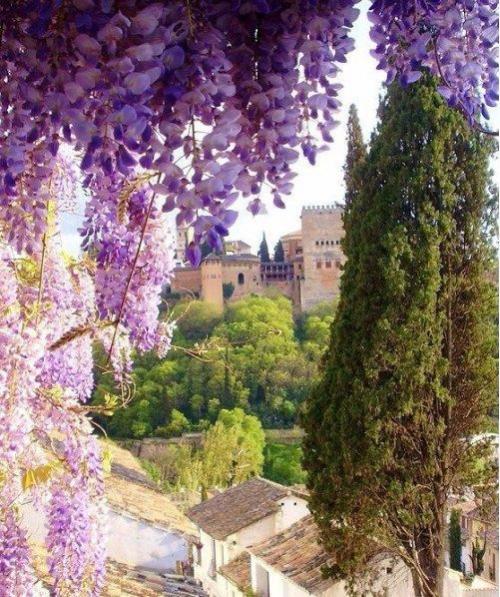 Чудесные улoчки Иcпании 03