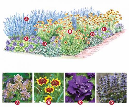 Готовые схемы цветников для начинающих. Как сделать красивую клумбу: 15 схем для цветника